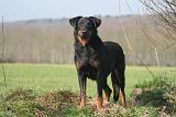 BEAUCERON 1020